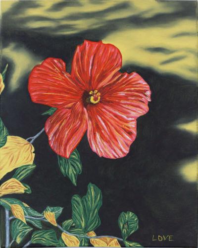 Red Flower on Black and Red