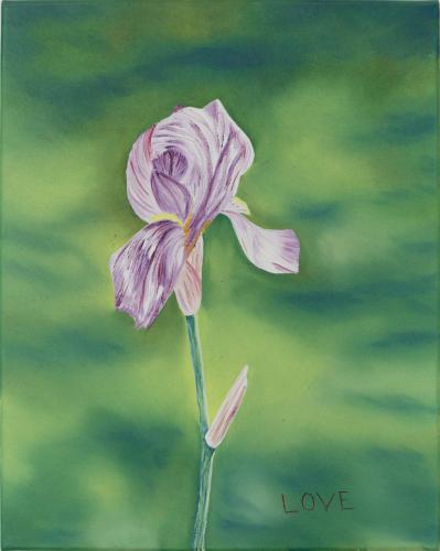 Purple Iris on Green