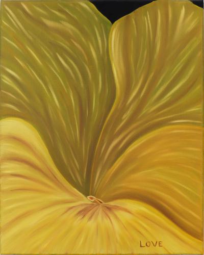 Yellow Flower Close Up