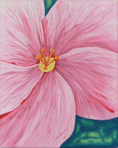 Pink Flower Close Up
