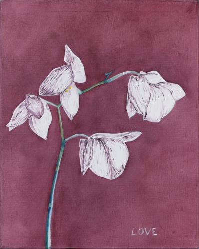 A Study in Orchids #1