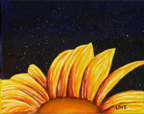 Sammy's Original Night Sky Creation